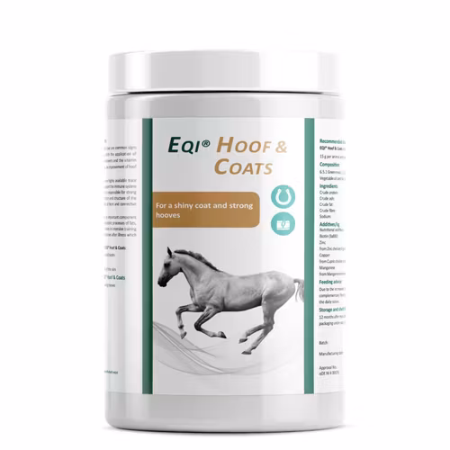 Hoof & Coats