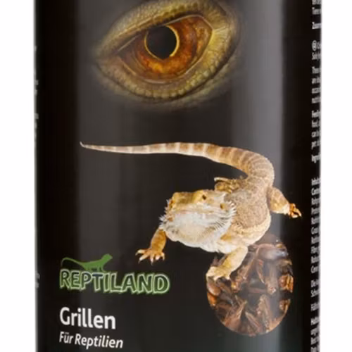Syrsor, torkade, 250 ml/25 g
