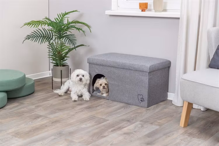 Koja Kimy, 72 × 40 × 40 cm, ljusgrå