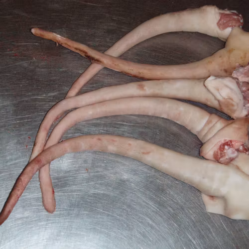 GRISKNORR HEL