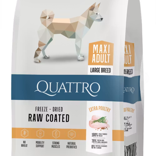 Maxi Adult with Poultry