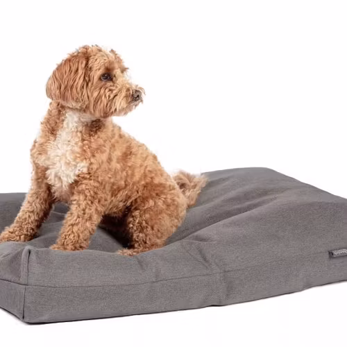 Danish Design Antibacterial Bed