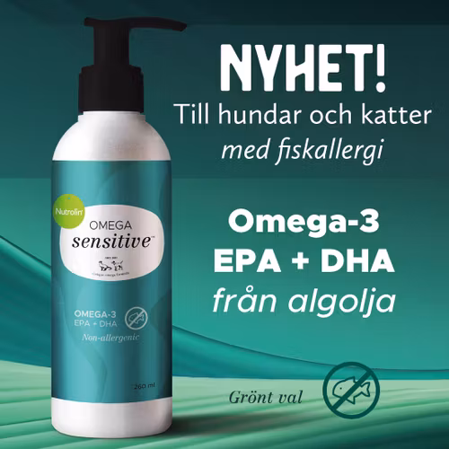 OMEGA SENSITIVE