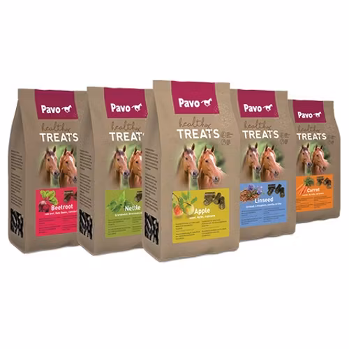 Healthy Treats - Carrot