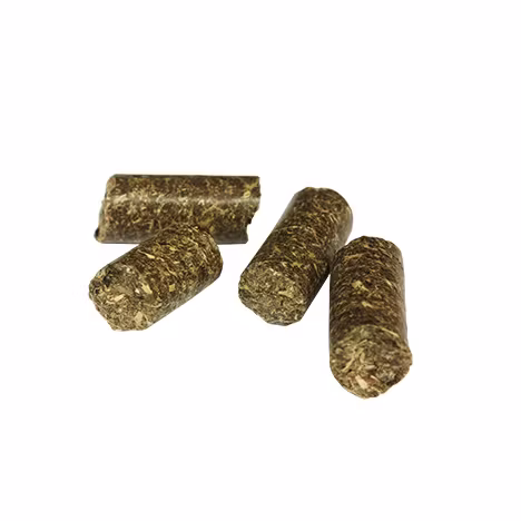 Healthy Treats - Apple