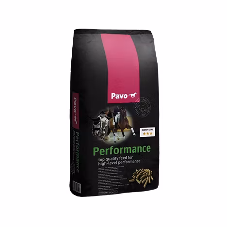 Pavo Performance