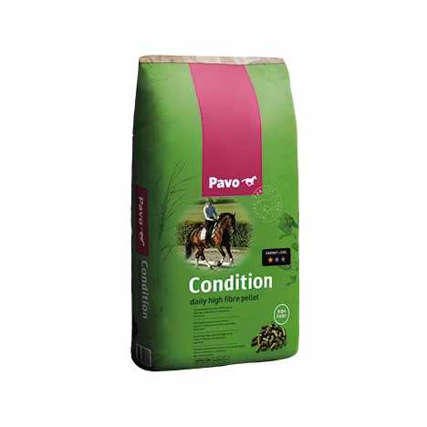 Pavo Condition