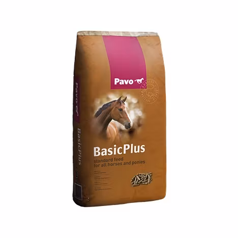Pavo BasicPlus