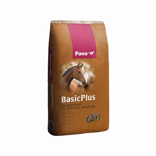 Pavo BasicPlus