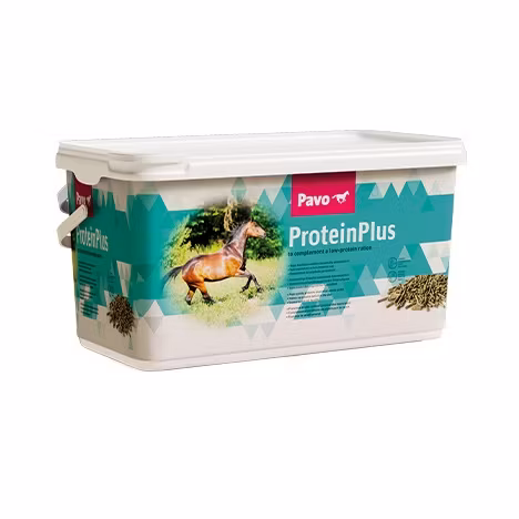 Pavo ProteinPlus