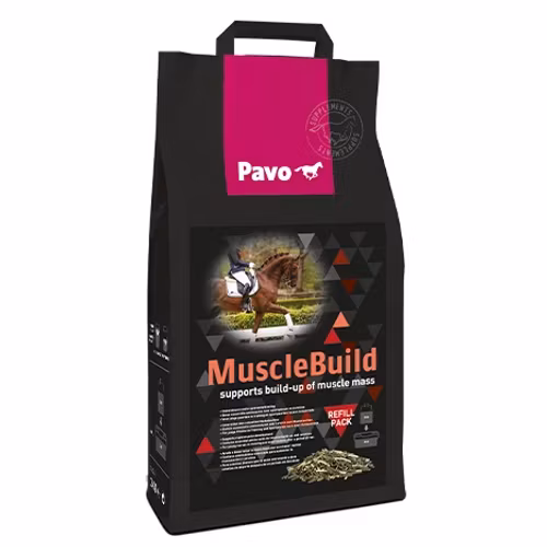 Pavo MuscleBuild
