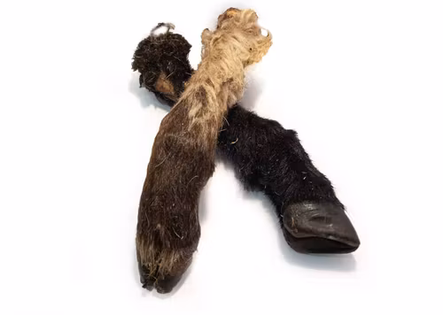 Lammben med päls & klöve