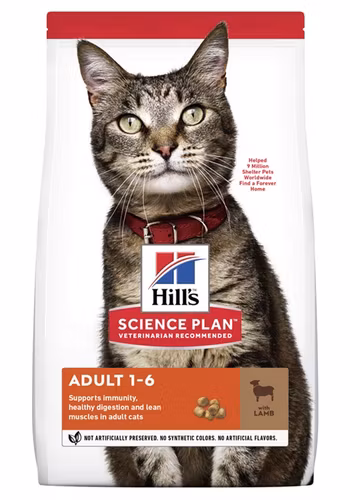Hills Feline Adult Lamb&Rice