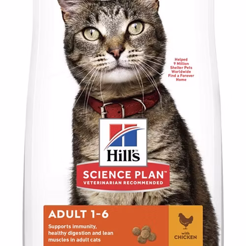 Hills Feline Adult Chicken