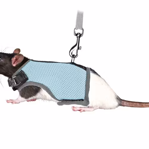 Softsele+koppel, råtta, 12-18cm, 1.20m