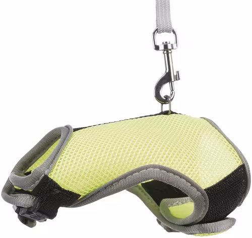 Softsele+koppel, marsvin,iller, 18-25 cm, 1.20m