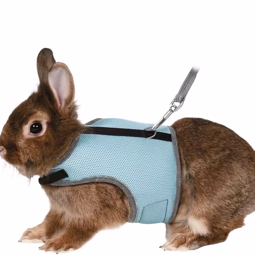 Softsele+koppel, dvärgkanin, 25-32 cm, 1.20m