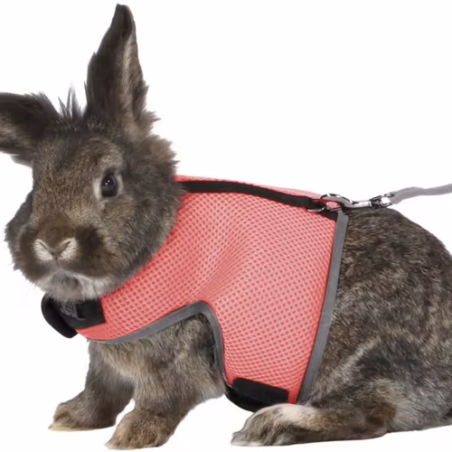 Softsele+koppel, stor kanin, 25-40 cm, 1.20 m