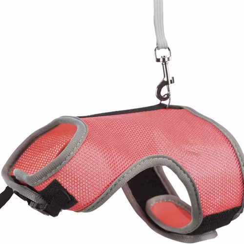 Softsele+koppel, stor kanin, 25-40 cm, 1.20 m