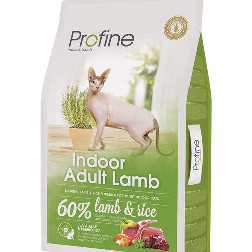 Indoor Adult Lamb