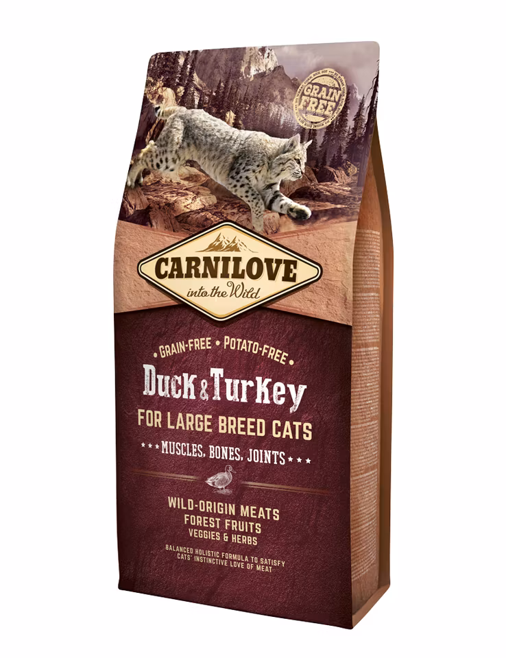 Duck & Turkey Large Breed