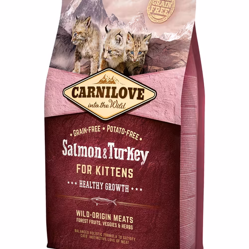 Salmon & Turkey Kitten