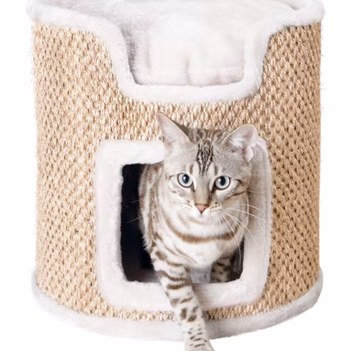 Klösmöbel Cat-Tower Ria, ø 37 x h37 cm, ljusgrå/beige