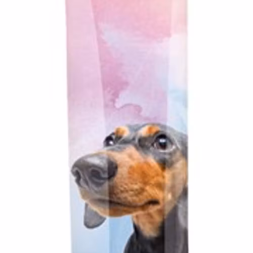 Creamy Snacks Hund Tonfisk, 5 × 14 g