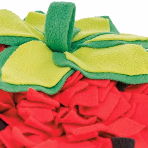 Sniffing Carpet, 33 × 40 cm,