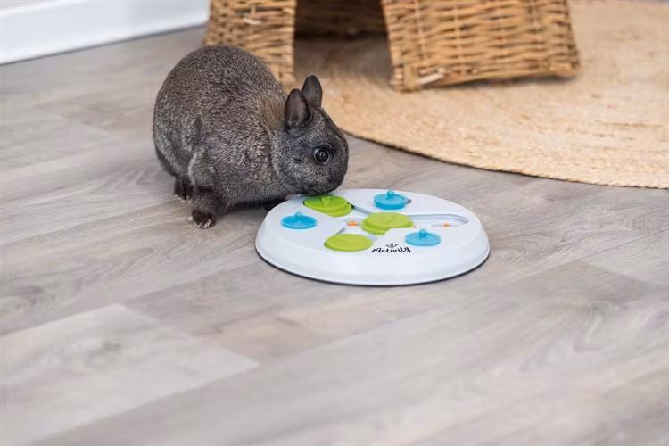 Aktivitetsspel Slide & Fun Board, plast, ø 23 cm