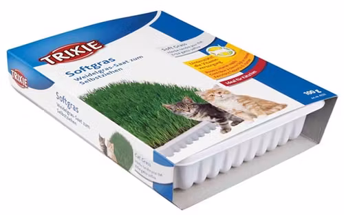 Kattgräs, mjukt, vitaminberikad, med odlingslåda, ca.100 g
