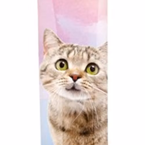 Creamy Snacks till katt. Med räkor, 5 × 14 g