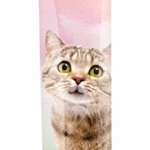 Creamy Snacks till katt. Med kyckling, 5 × 14 g
