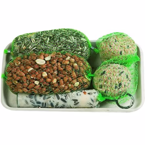 VILDFODER TALGB, NÖTTER & SOLROS 550GR