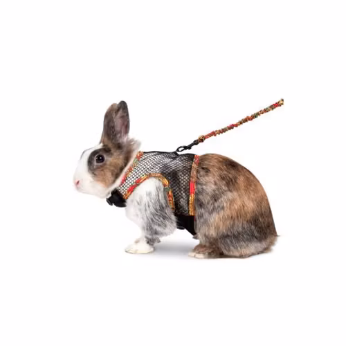 SELE/KOPPEL KANIN COMFORT