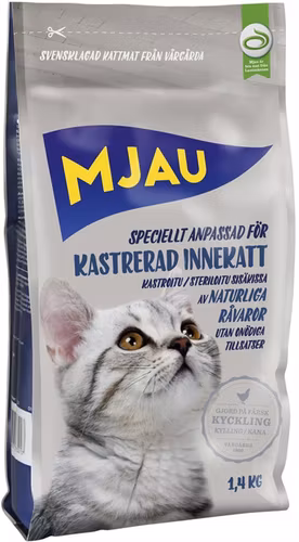 Mjau Kastrerad innekatt