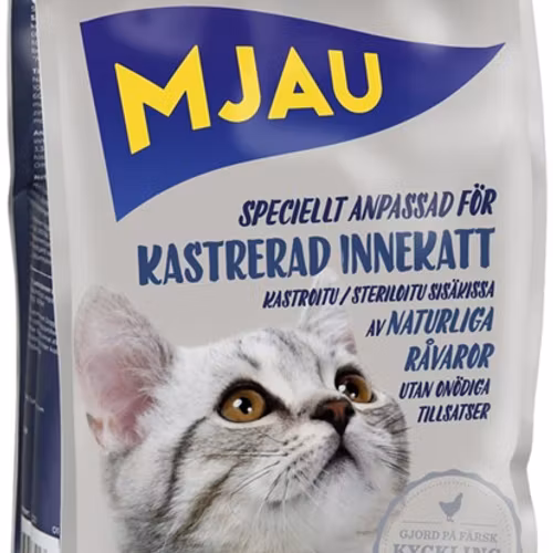 Mjau Kastrerad innekatt
