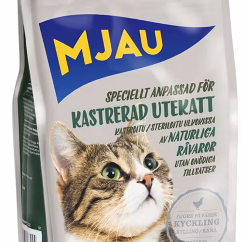 Mjau Kastrerad utekatt