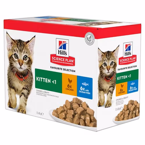 Hills Kitten Chicken & Ocean Fish 12x85g