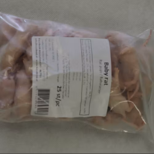 Råttungar 5-14 gram