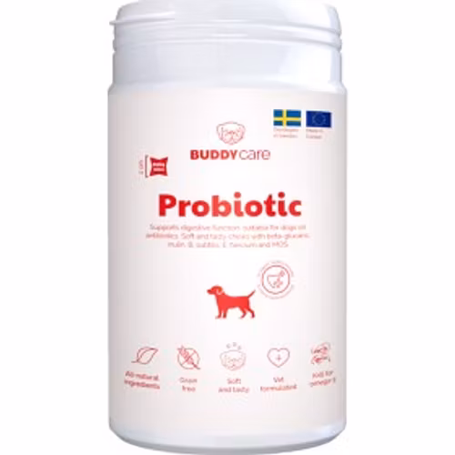BuddyCare - Probiotic