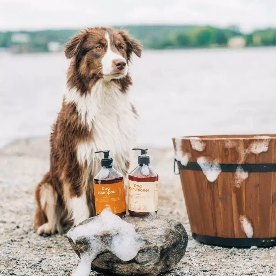 BuddyCare Natural Dog Conditioner