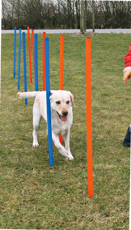 Agility 12 st Slalompinnar Plast 115 cm