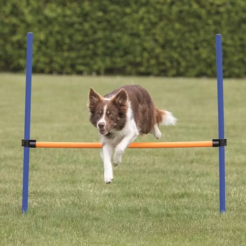 Agility Hopphinder Plast 123 x 115 cm .