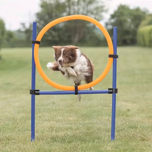 Agility Hoppring Plast 78 x 65 x 115 cm .