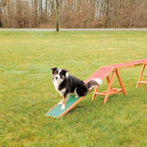 Agility ramp, 456 x 64 x 30 cm.