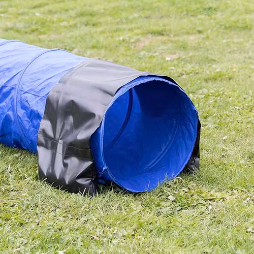 Agility Tunnel .