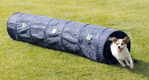 Agility Tunnel .
