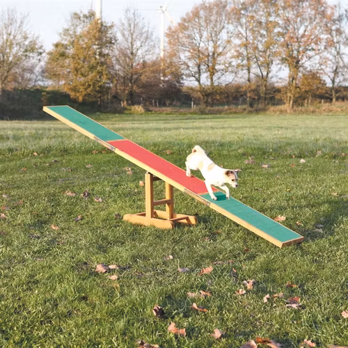 Agility Gungbräda i trä .