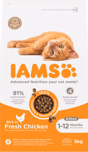IAMS CAT Vitality Kitten & Junior Kyckling .